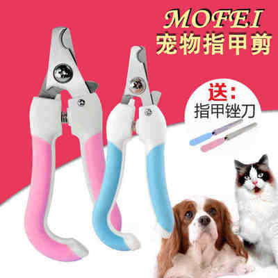 如何為愛(ài)寵選擇合適的指甲修剪工具——從泰迪到大型犬的必備美容指南